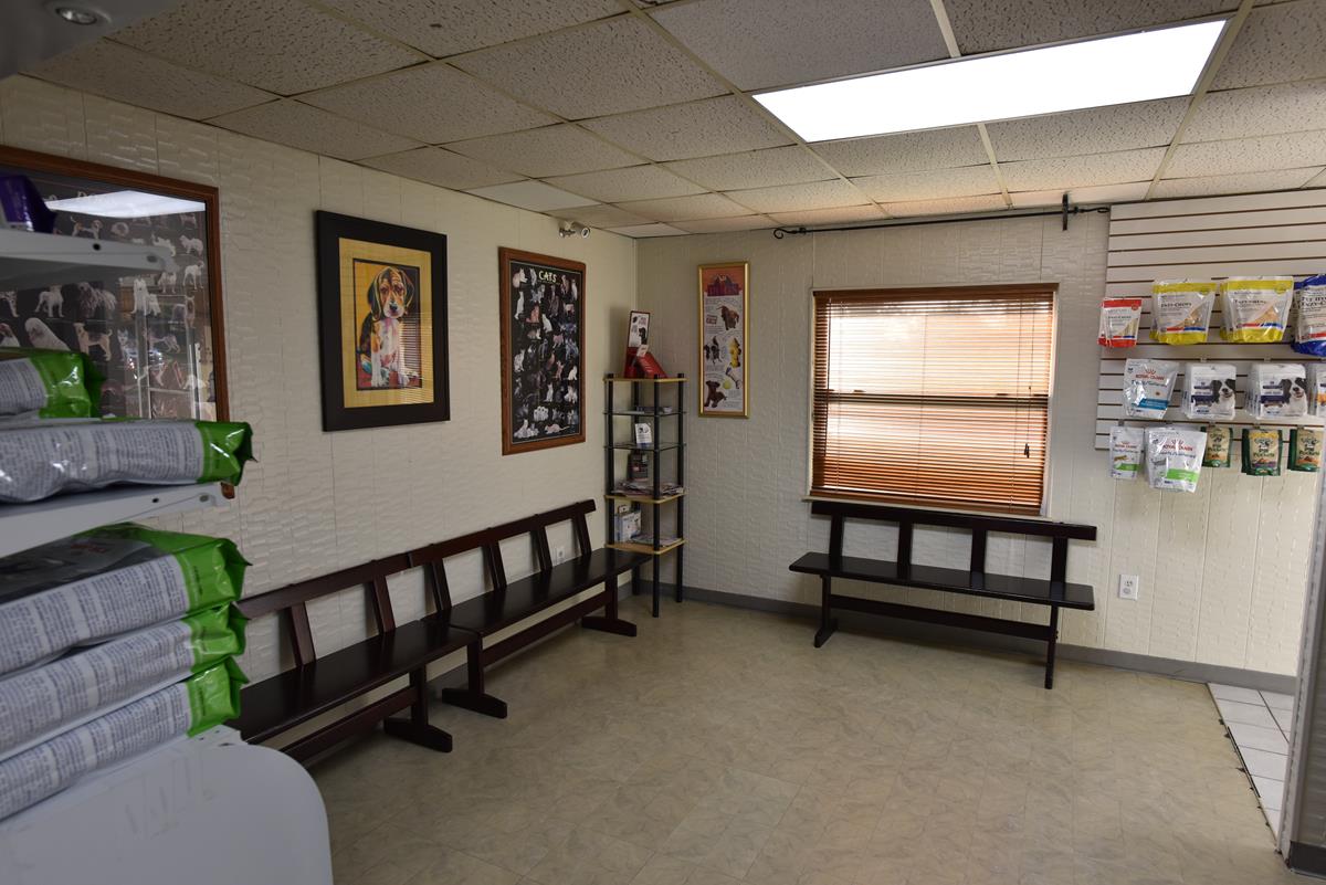 New Clients Collins Animal Hospital